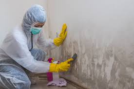 Best Mold Removal for HVAC Installations  in Horizon West, FL